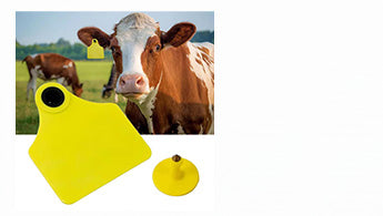 RFID Animal Tag