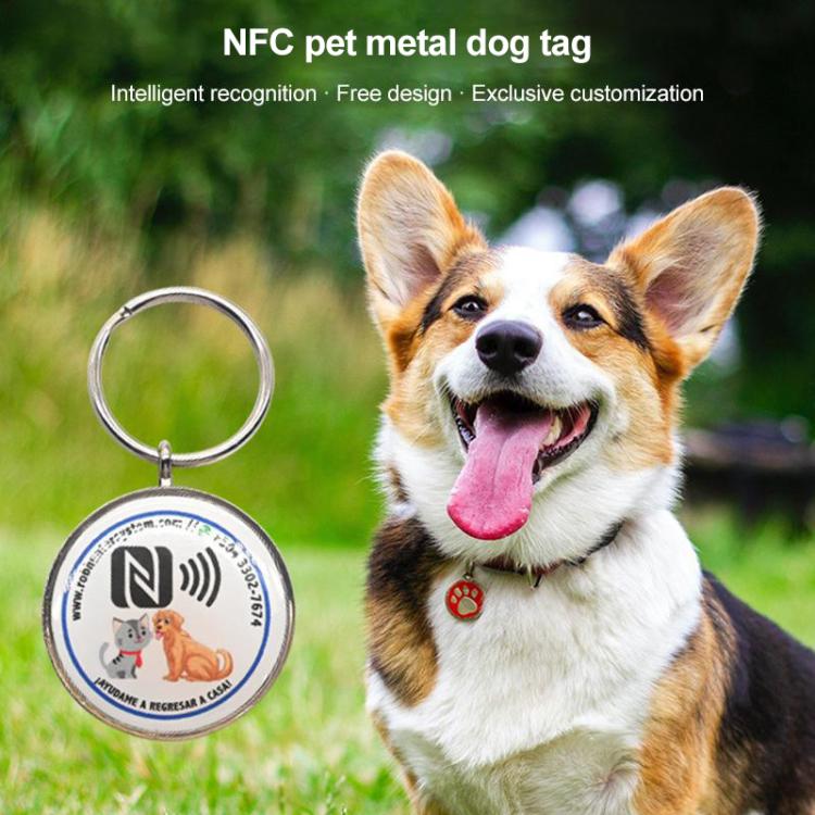 Domestic IC NFC RFID Pet Anti-lost Metal Tag, Size: 50x30mm