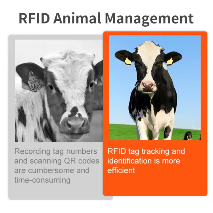 RFID Smart Chip UHF Animals Electronic Ear Labels for Pigs, Cattle, Sheep