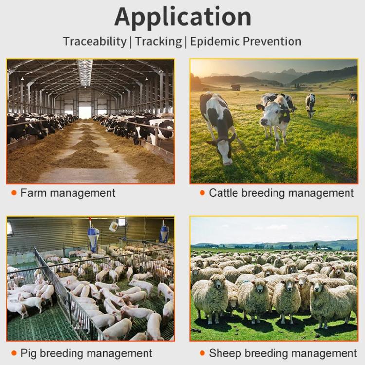 RFID Smart Chip UHF Animals Electronic Ear Labels for Pigs, Cattle, Sheep