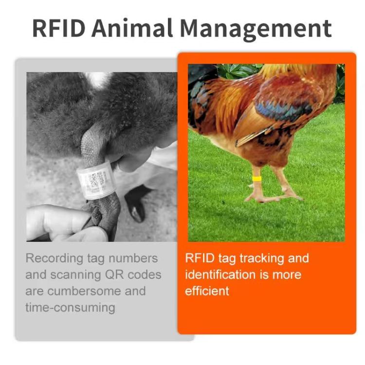 Animal Poultry Foot Ring with TK4100 Chip RFID LF Animal Cable Tie Labels