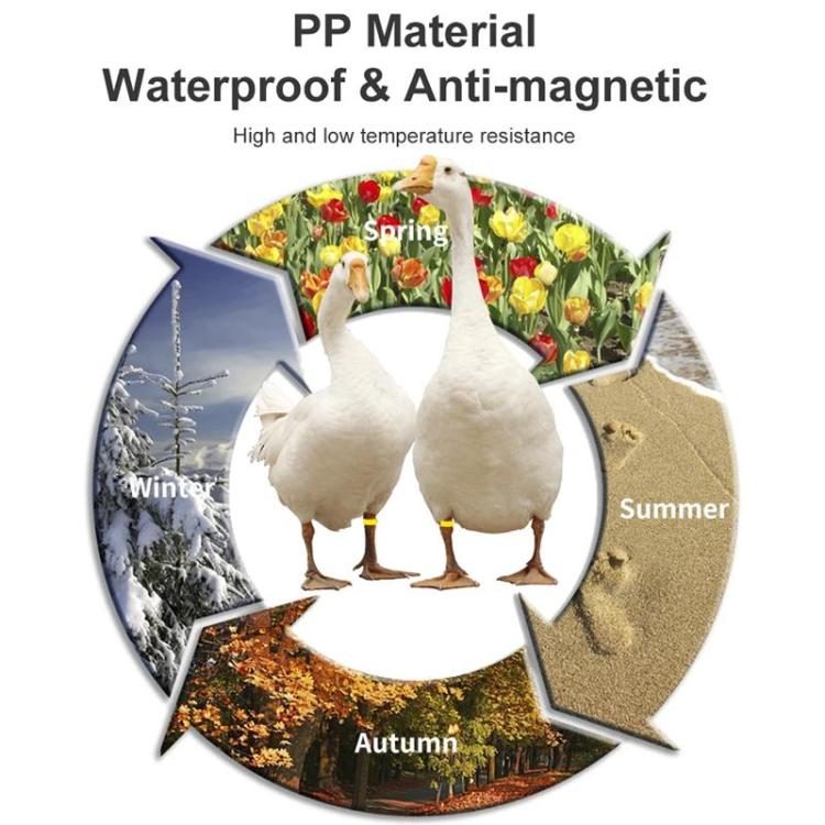 Animal Poultry Foot Ring with TK4100 Chip RFID LF Animal Cable Tie Labels