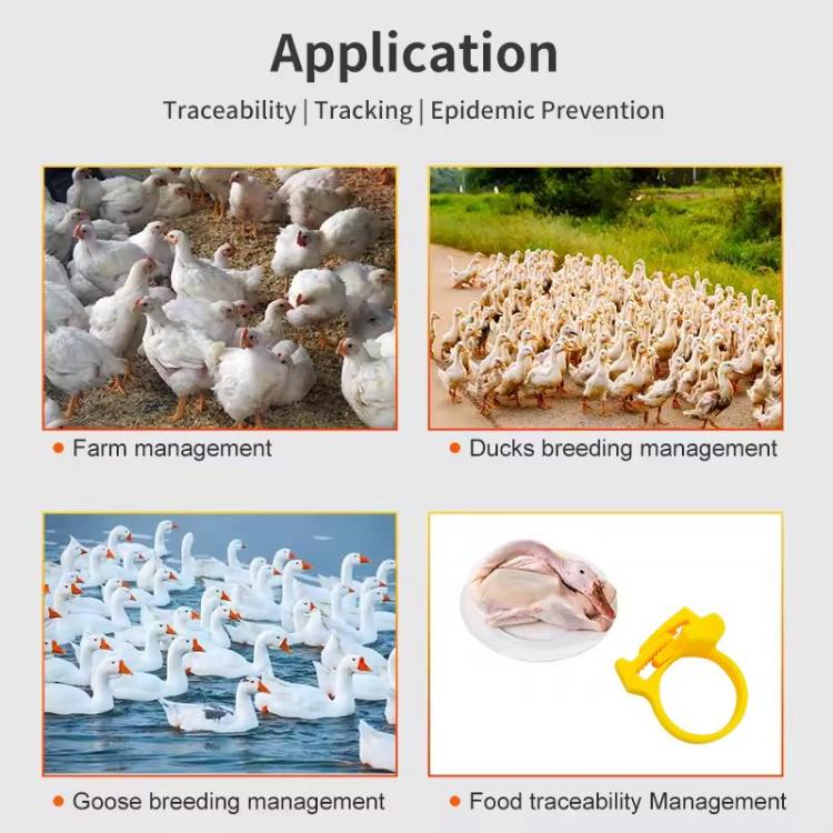 Animal Poultry Foot Ring with TK4100 Chip RFID LF Animal Cable Tie Labels