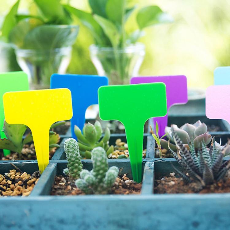 Potted Plants High-frequency UHF RFID Labels, Size: 100x59x3mm