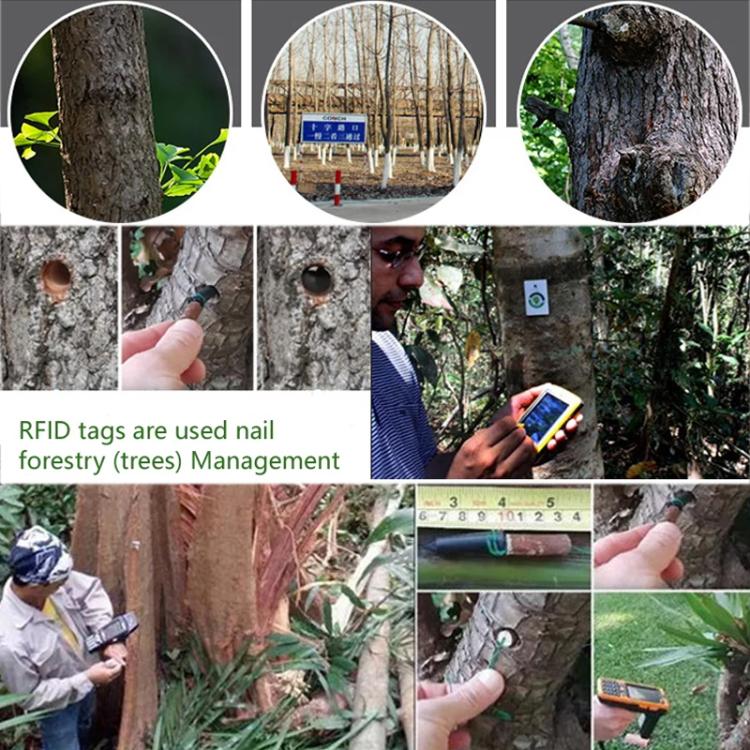 125KHz TK4100 Chip Tree RFID Nail Tag, Size: 38.31x6.04mm