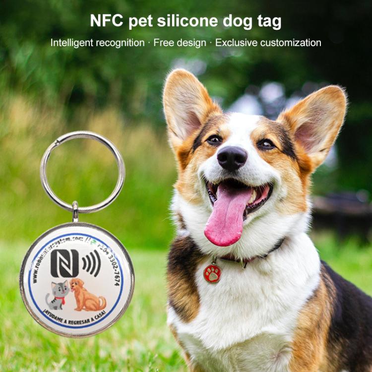 NFC RFID Pet Anti-lost Metal Tag, Size: 85x55mm Support Customization